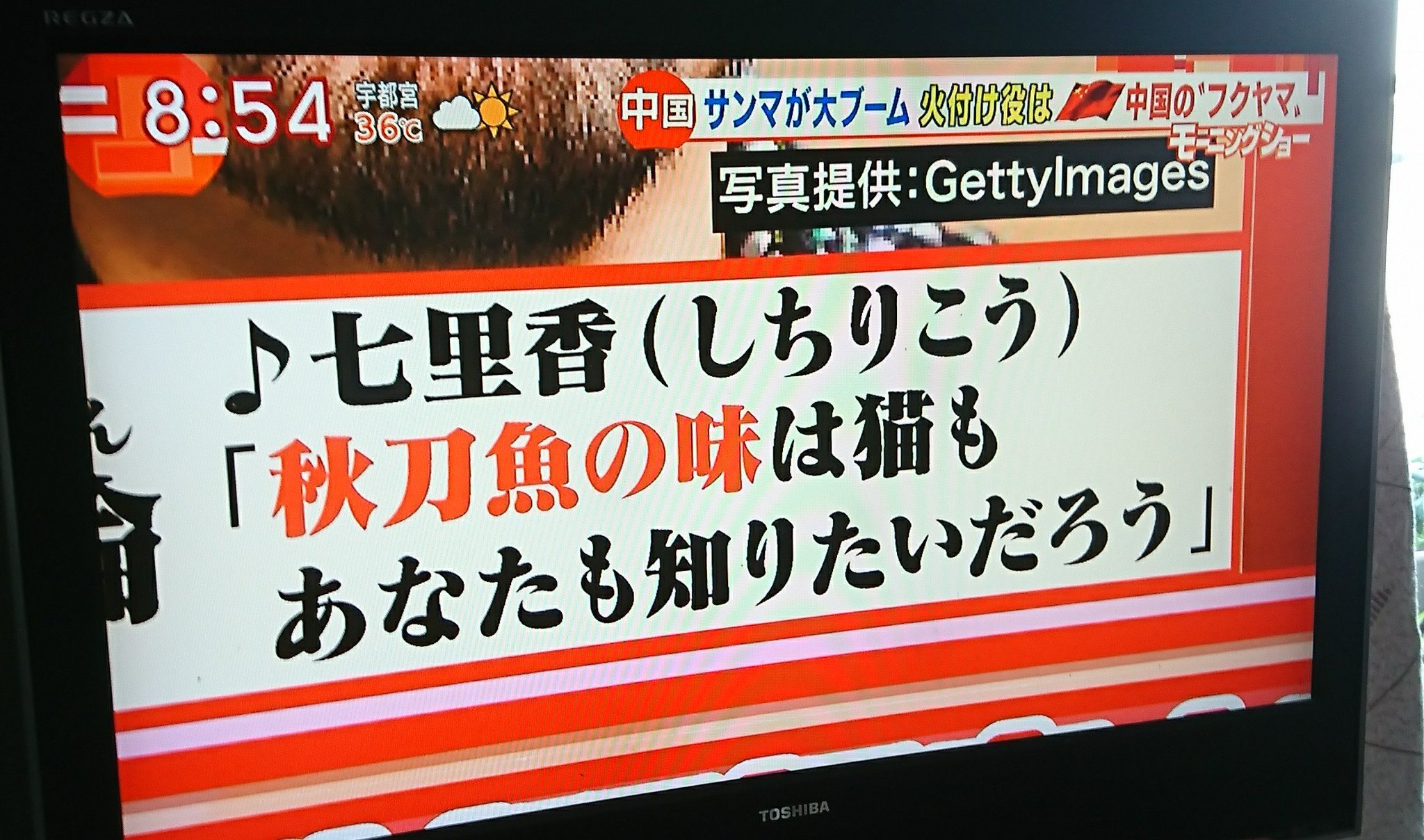 Kumi 中国 サンマが大ブーム 火付け役は中国の フクヤマ しゅうけつりん ジェイチョウ 周杰倫 七里香 台湾 秋刀魚 モーニングショー テレ朝