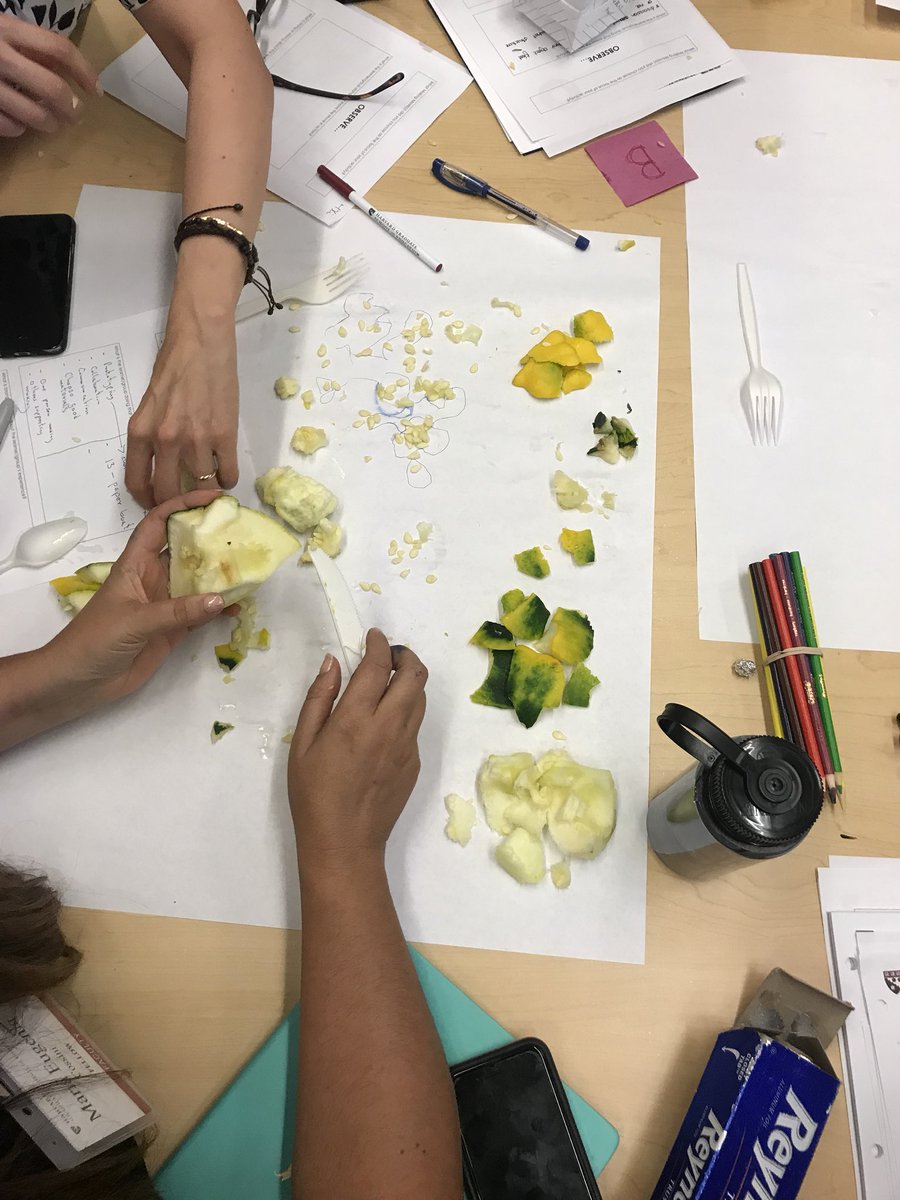 Agency by Design (@agencybydesign) on Twitter photo A #makered lesson in color coding with summer squash at #PZC2018 <a href="/ProjectZeroHGSE/">Project Zero</a> <a href="/MakeThinkLearn/">Andrea Sachdeva</a> <a href="/EdwardPClapp/">Edward P. Clapp</a> A #makered lesson in color coding with summer squash at #PZC2018 <a href="/ProjectZeroHGSE/">Project Zero</a> <a href="/MakeThinkLearn/">Andrea Sachdeva</a> <a href="/EdwardPClapp/">Edward P. Clapp</a>