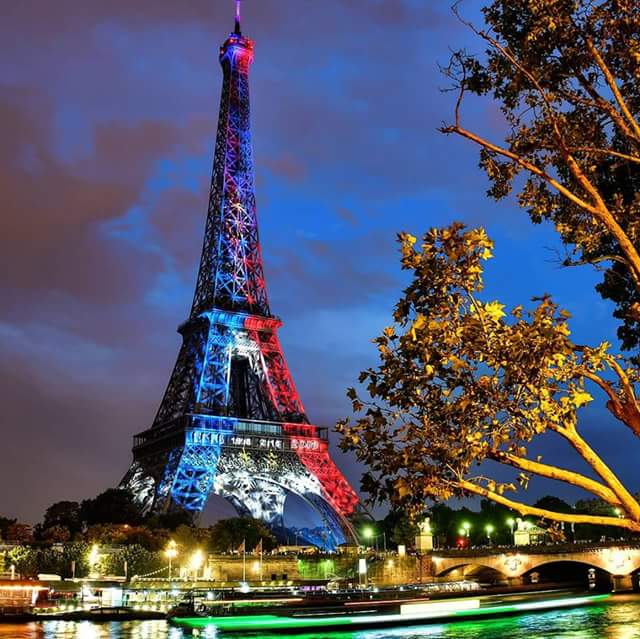 carlitapolka's tweet image. 🌻🌟🌻By visitParisregion 🌻🌟🌻Douce nuit à tous,mes chers twitterfriends !🌻🌟🌟🌻😘😘