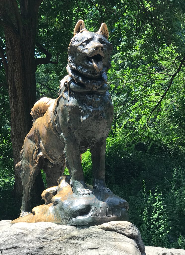 Natasha Small tweet media