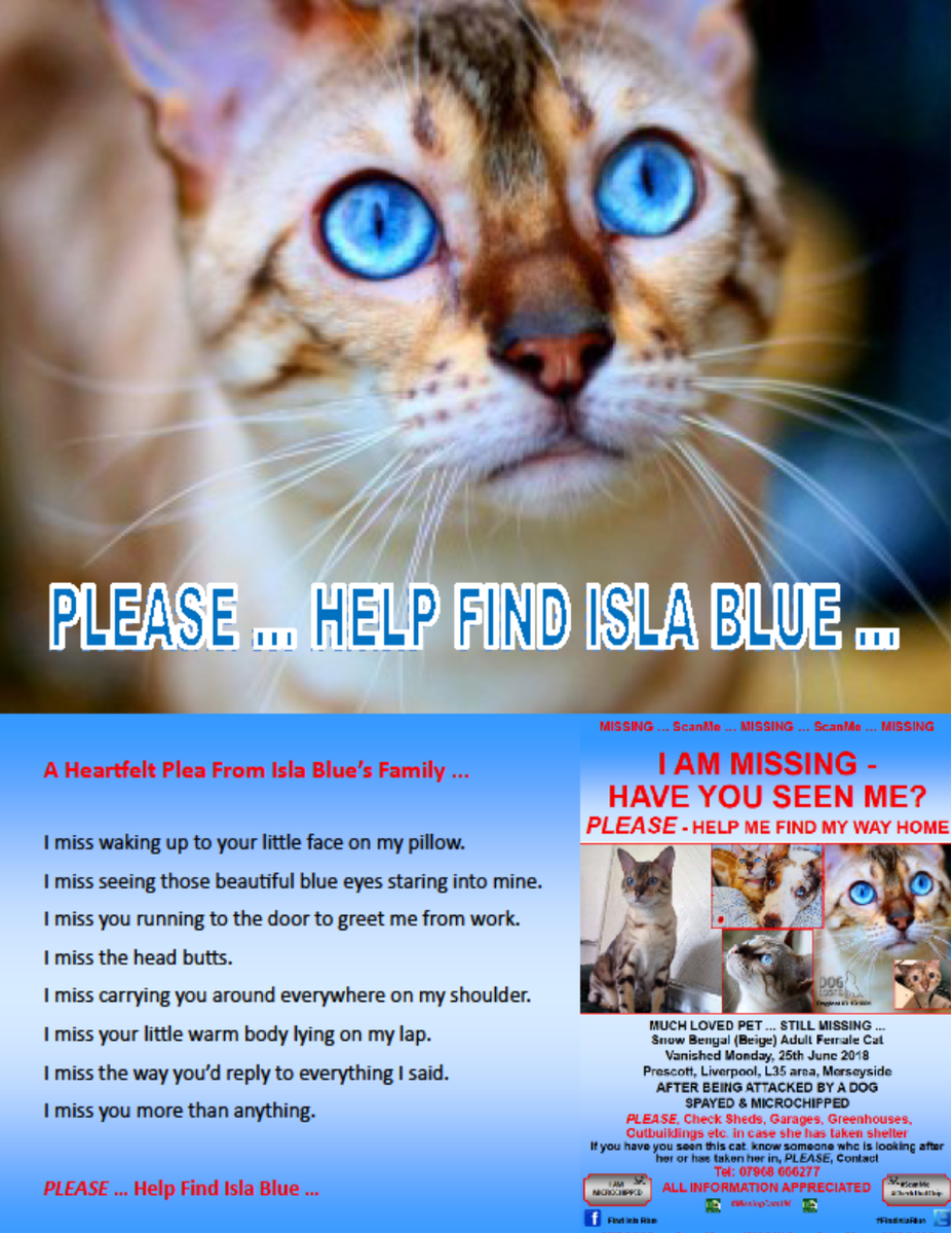 CatsMissing's tweet photo. PLEASE, HELP #FindIslaBlue
‼SHE MUST BE SOMEWHERE‼
HAVE YOU SEEN #IslaBlue❓
🆘STILL MISSING AFTER BEING MAULED BY DOG‼Monday 25/6/18 Youatt Ave #Prescot #Liverpool L35 #Merseyside
SNOW #BENGAL #LostCat SPAYED CHIPPED #ScanMe #MissingCatsUK
FB▶https://t.co/cs8DJQZZGW https://t.co/o6ANPMYwCB