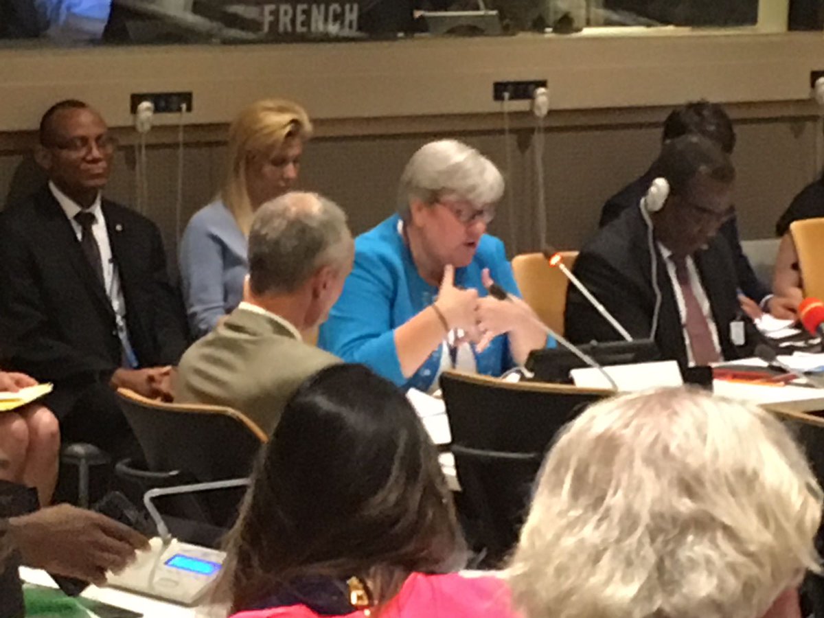 IrishMissionUN's tweet photo. Great to see CEO &amp; Special Representative Rachel Kyte open the Sustainable Energy for All side event earlier today: “There is reason to be hopeful. We are seeing a great diversity of actors in this space.” #Goal7 #Ireland4SDGs #HLPF2018 https://t.co/MP0gVqE0JL