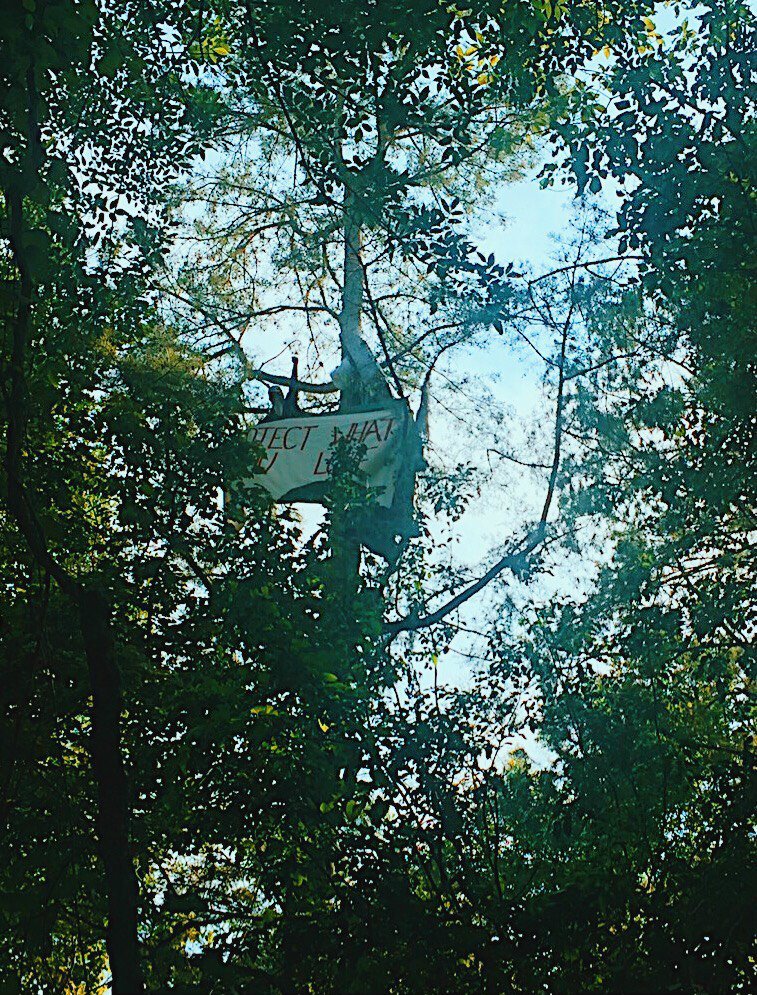 NoBayouBridge's tweet photo. Pictures from the aerial blockades in the Atchafalaya Basin. Tree-sits have been set up directly on the easement of the Bayou Bridge pipeline. ETP is clearing trees just two miles from the blockade. #NoBayouBridge #StopETP #RiseTogether https://t.co/445cY3yfcM