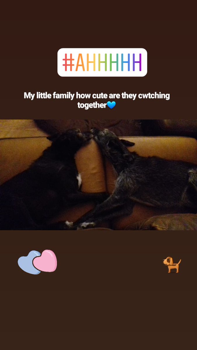 LisaMytton's tweet image. My buddies #talkingtothedogs #noanswers 😂