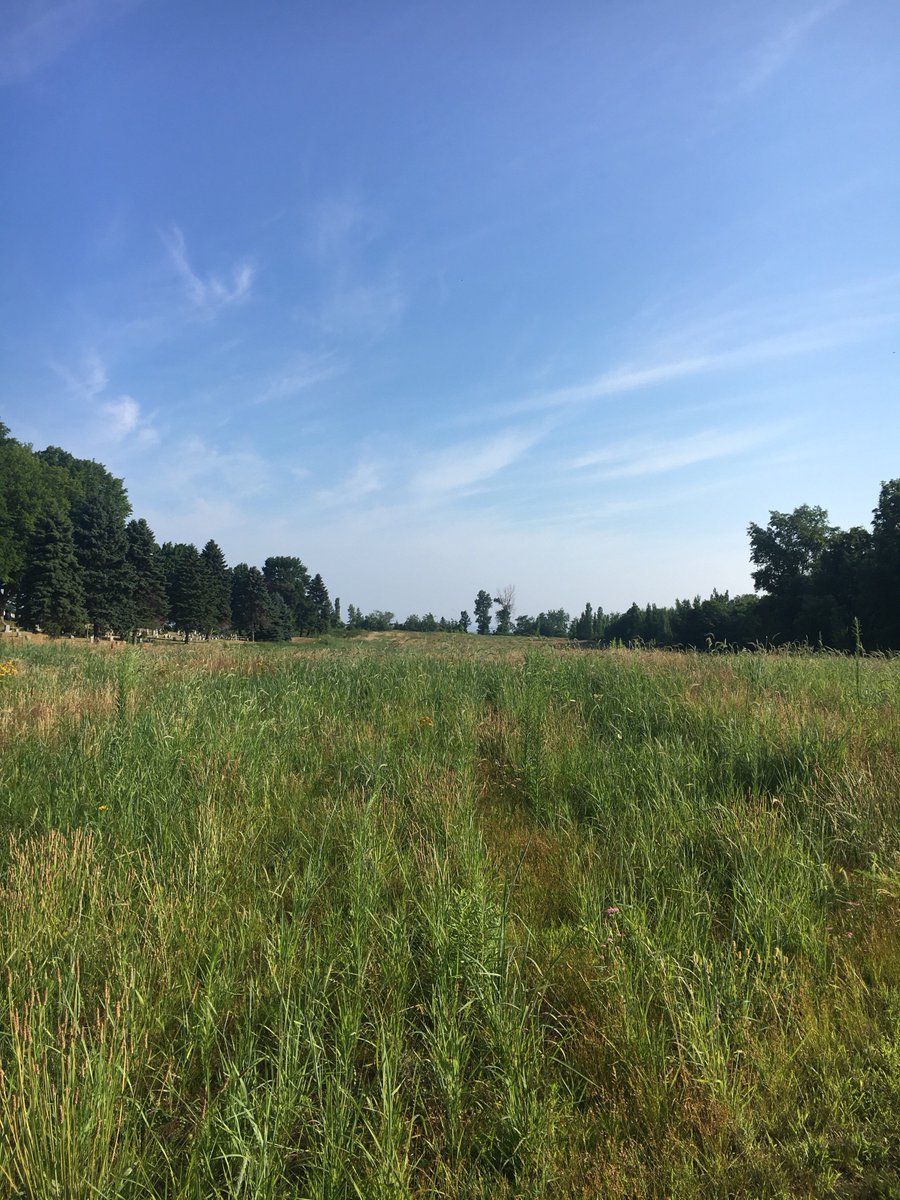 WeeBitPultneyville (WeeBitPultney) Twitter