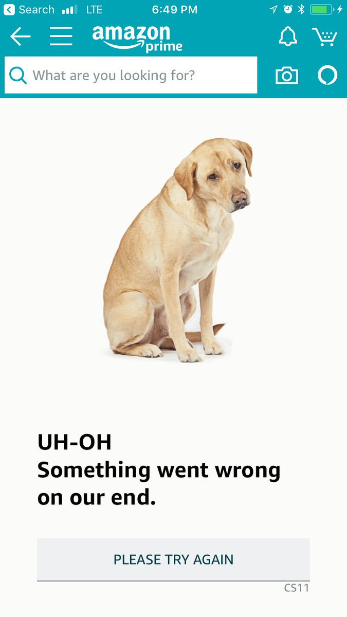 g_renovales's tweet photo. #DSOD Dog Screen of Death #PrimeDay2018 #PrimeDay #AmazonPrimeDayFail #AmazonPrimeDay #amazoncrash #AmazonDog #AmazonDown #AmazonCrashDay #Amazon https://t.co/2bRvpuTs02