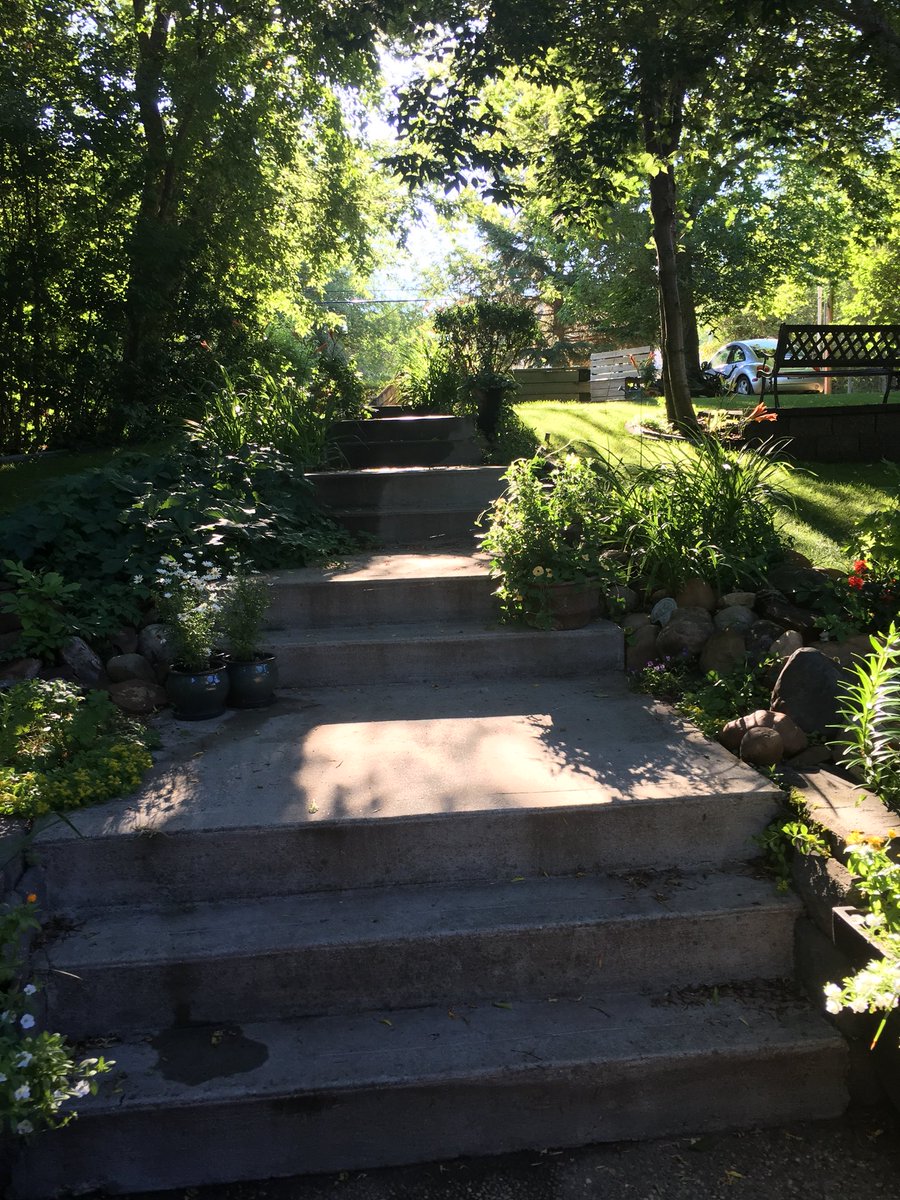 Redpenmark's tweet image. #Trump is an idiot so I am just going to look a pictures of my garden. #TrumpPutinSummit