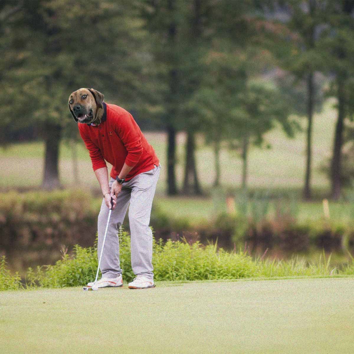 Spend more time on things that matter to you. Everman is a brand of classic menswear essentials that never change. Made for men who play hard and work smart. Or just hate shopping. Exclusively available at evermanapparel.co.za with free next-day deliveries and free returns.