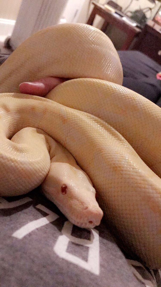 Believer_5's tweet photo. I like my pets, they’re the only thing worth living for cause if I don’t take care of them I know no one else will or they’ll do it wrong so yeah 😂 https://t.co/6lyjdmaKg4