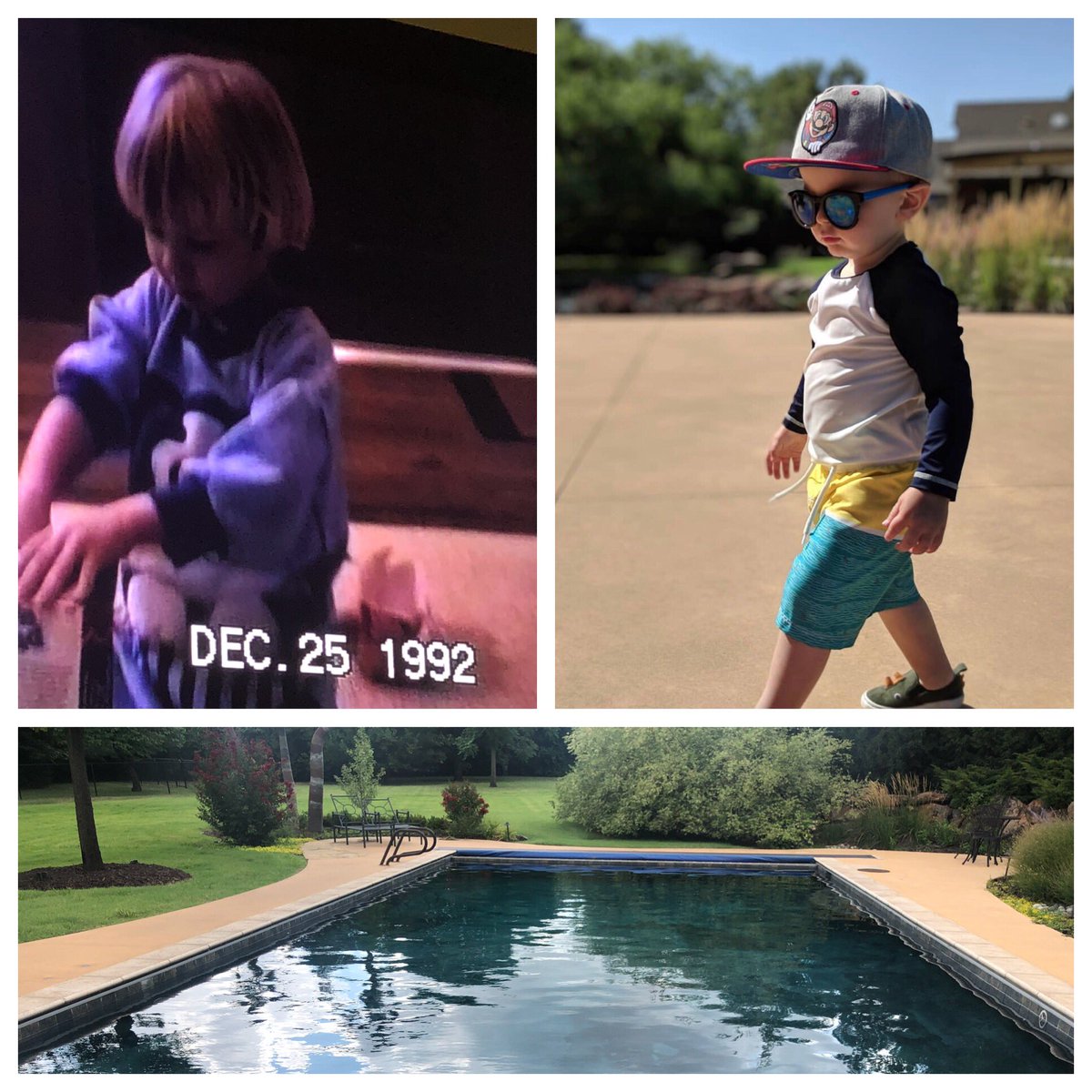 Stephanie tweet media