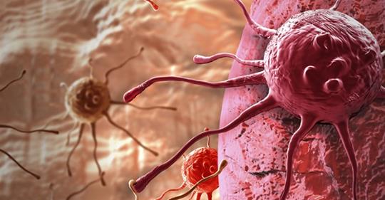 ZealCADServices's tweet image. 3D modeling of drug resistance could lead to more effective cancer treatment. read more - bit.ly/2L9Smmr
#3DModeling #3dModelingServices #3dCadModels #3dDesigns