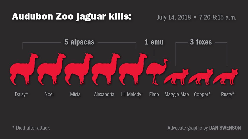 FoodRush's tweet photo. It's no laughing matter when a jaguar goes on a killing rampage inside a zoo, unless someone makes an infographic about it. #RIP Rusty &amp; the Gang @theadvocateno https://t.co/gms0iRxeRa