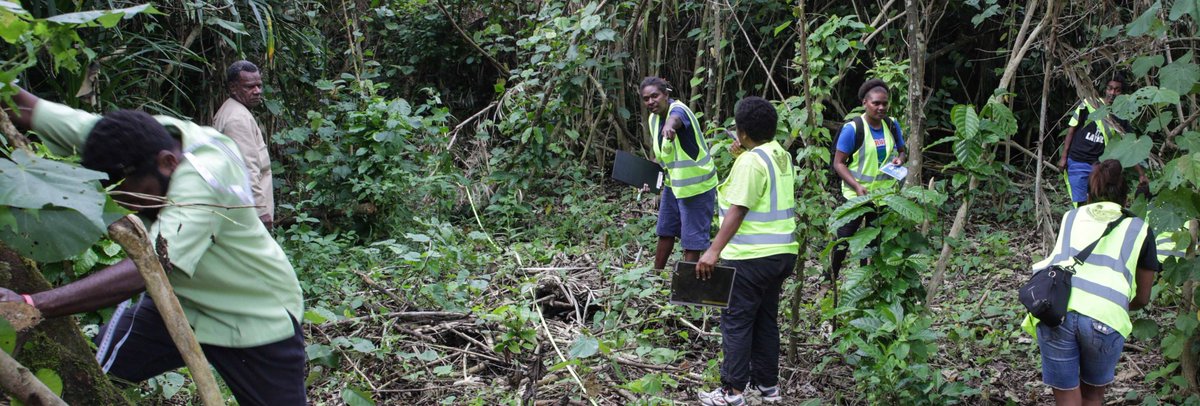 PacificR2R's tweet photo. @spc_cps @PacificR2R #Vanuatu Rapid Coastal Assessment Team complete trial forest biodiversity and cover assessment of #Tagabe Upper Catchment, incl. info on endemic + invasive species. Team incl Dept of Environmental Protection and Conservation, local experts+community voluteers https://t.co/kdZFma64fv