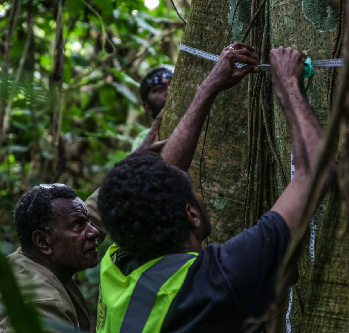 PacificR2R's tweet photo. @spc_cps @PacificR2R #Vanuatu Rapid Coastal Assessment Team complete trial forest biodiversity and cover assessment of #Tagabe Upper Catchment, incl. info on endemic + invasive species. Team incl Dept of Environmental Protection and Conservation, local experts+community voluteers https://t.co/kdZFma64fv