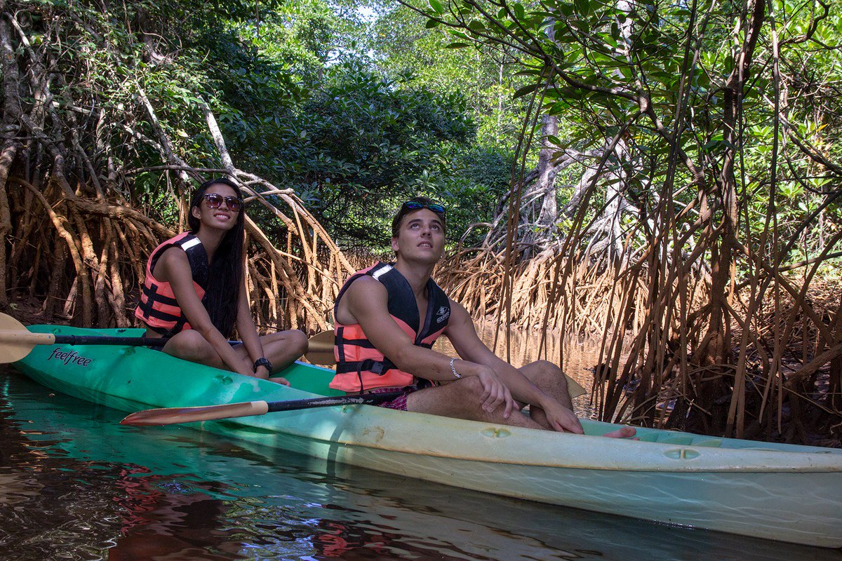 ourcamayan's tweet photo. We are a short paddle away from a thriving mangrove, best explored by kayak. #OurCamayan https://t.co/9QVv4J23Yq