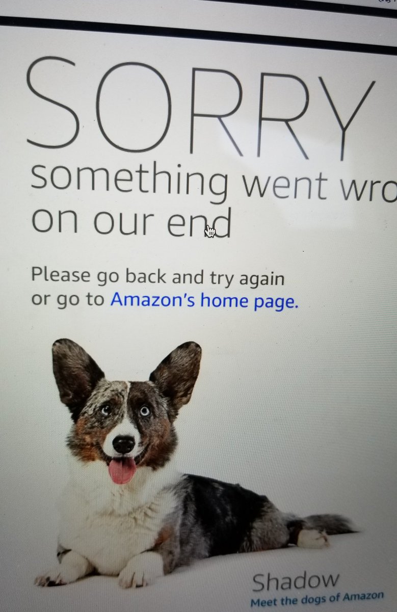 GarrickOlson's tweet photo. @amazon #Amazon #PrimeDay2018 https://t.co/orOKEG4UKB