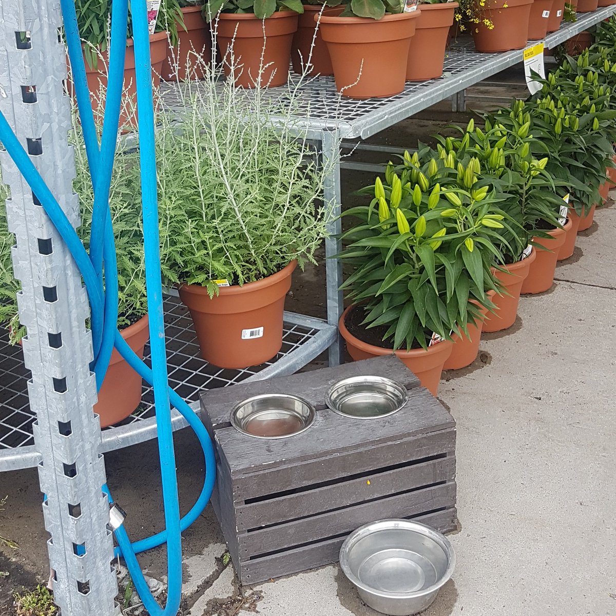 Dogs247Becky's tweet photo. Nicely Done Leaside Home Depot #thinkingofdogs #torontoheat #extremeheat #dogs #makingadifference #thingsisee #dogstwentyfourseven #dogwalkerlife #Toronto #HomeDepot #Leaside https://t.co/6lMI5MKA0R