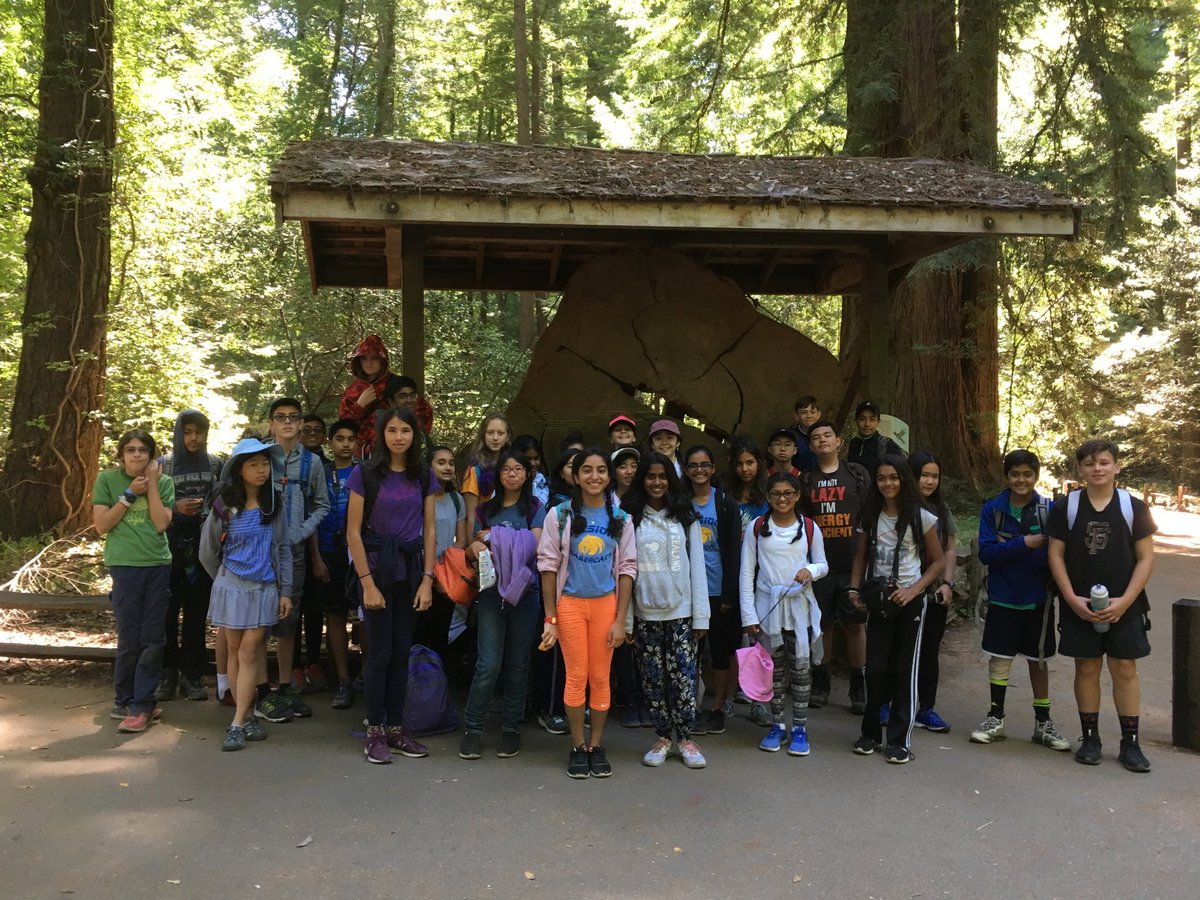 AlsionSchool's tweet photo. Exploring the Redwoods! https://t.co/WjZ4Bynxem