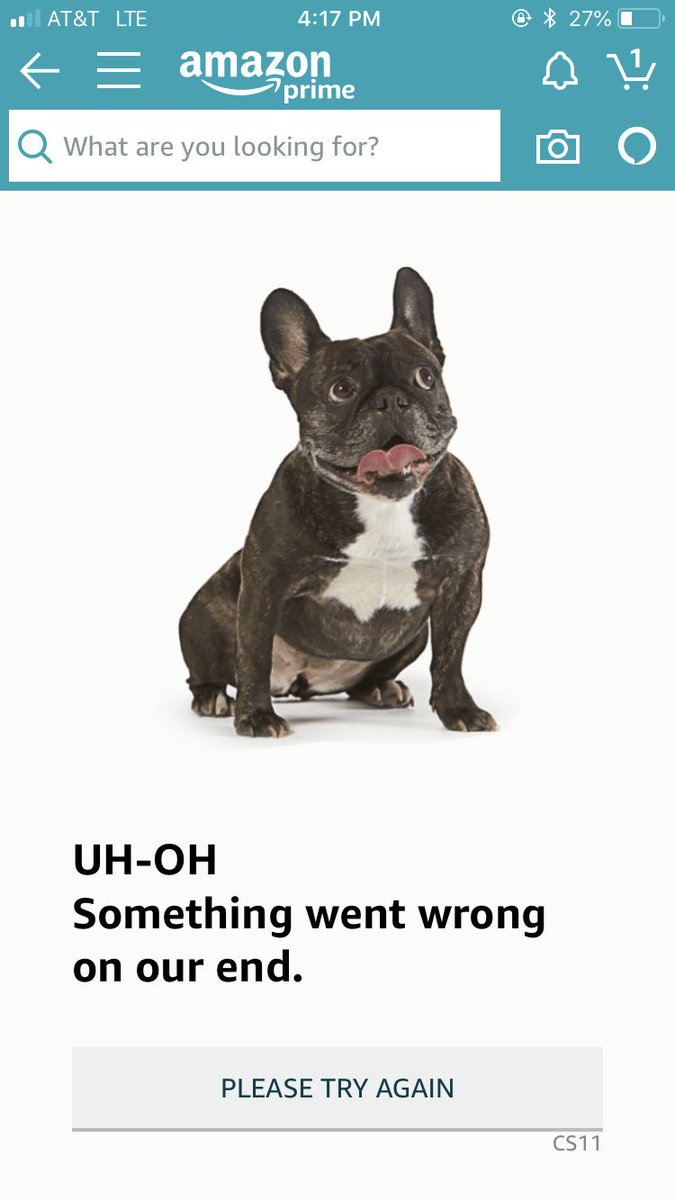 busybeekate's tweet photo. Kind of glad #AmazonPrime was a bust. I got to see lots of cute photos of puppies all day and my wallet (and hubby) is thankful. #AmazonPrimeDayFail #amazonprime2018 https://t.co/8fB16Kun06