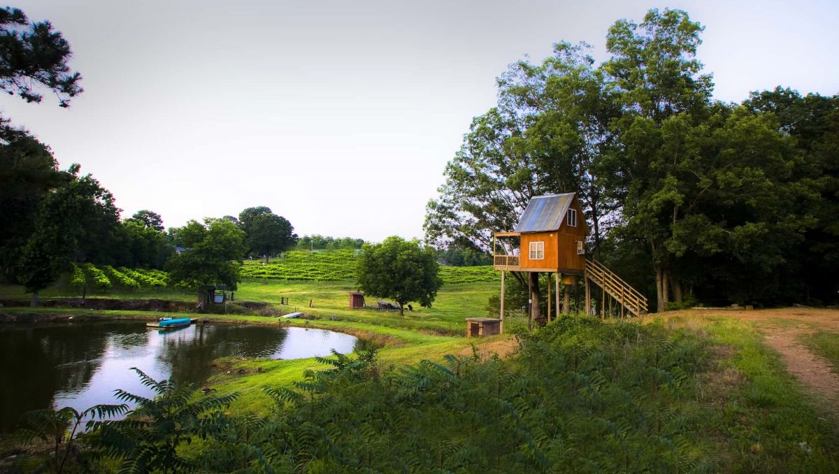 Visit North Carolina tweet media