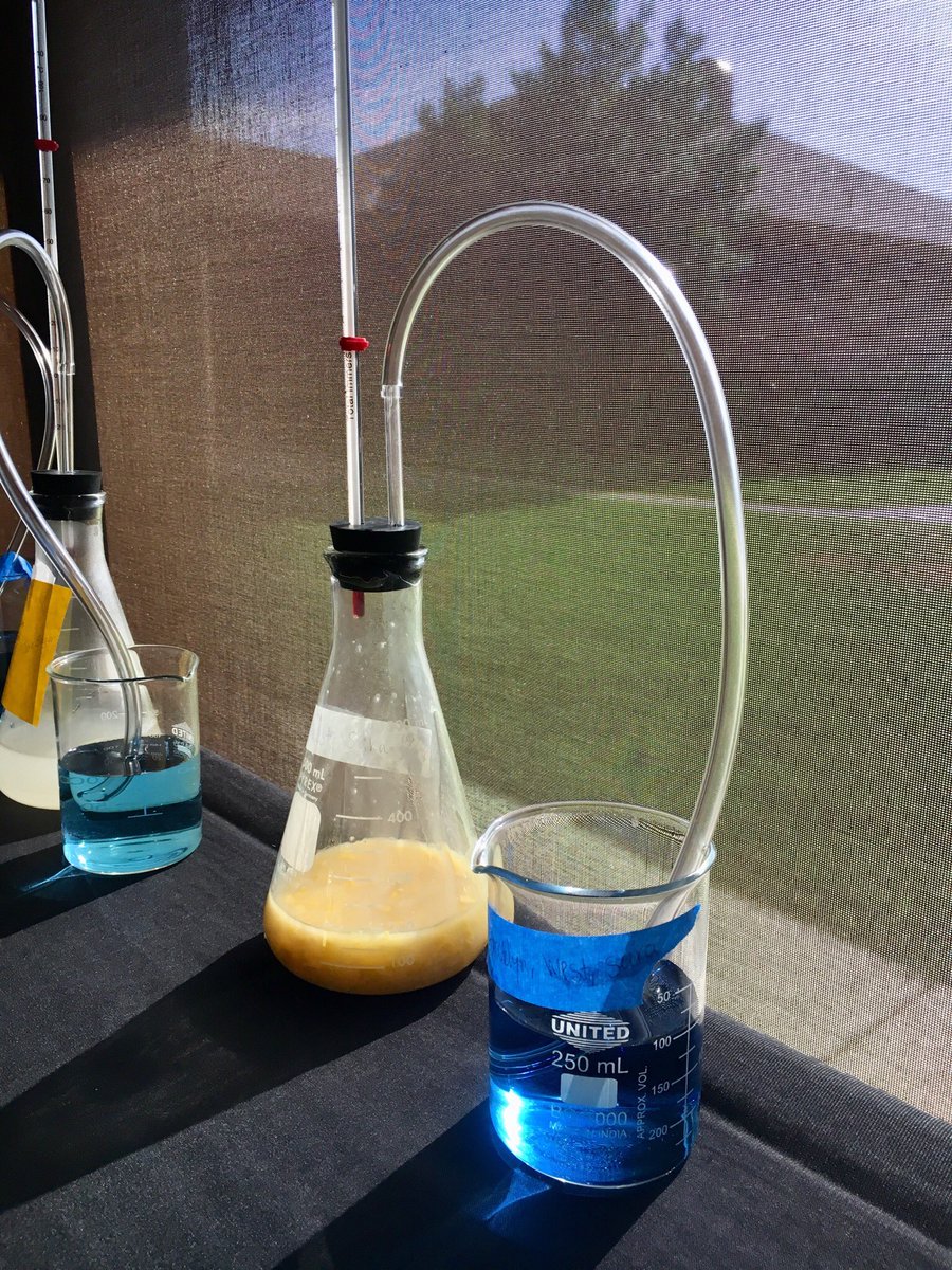 Ethanol production: will cream corn or corn syrup produce more? We’ll find out a little more tomorrow!
#biofuels #nataa18