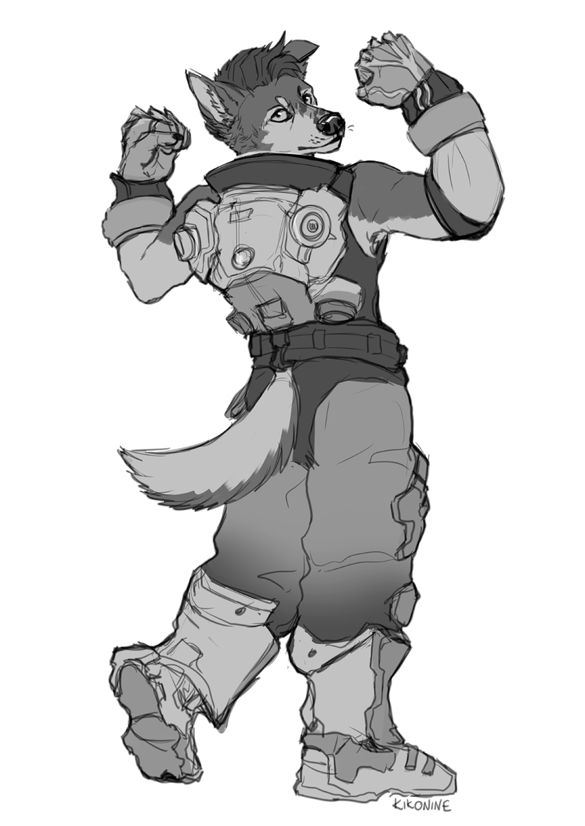 🌲 KiKO 🐕 🌲 tweet media