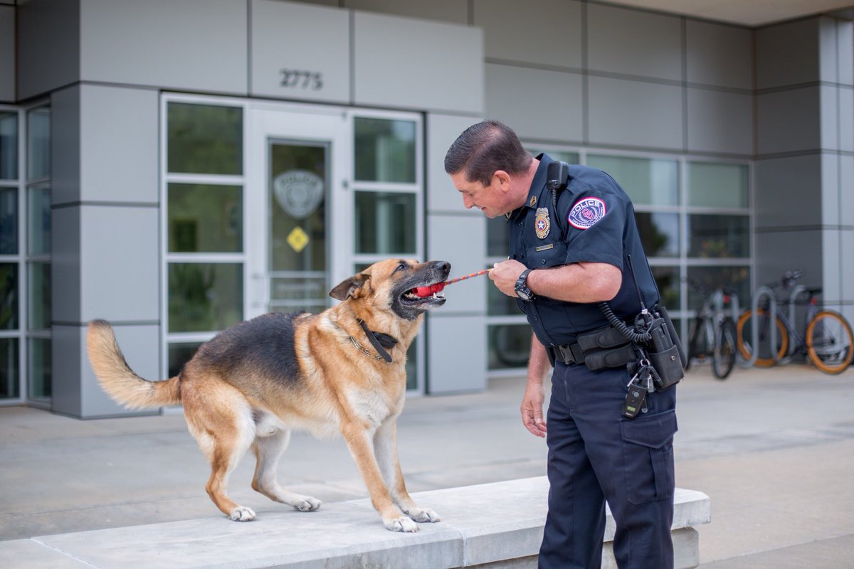 oupdnorman's tweet photo. OUPD is hiring certified police officers for our joint lateral academy with the Norman Police Department that will begin in October.
Click the link for more information and to apply. https://t.co/NkeoPTzXTU.
Apply today to be part of our team!
#joinOUPD https://t.co/4GsSAlAakN