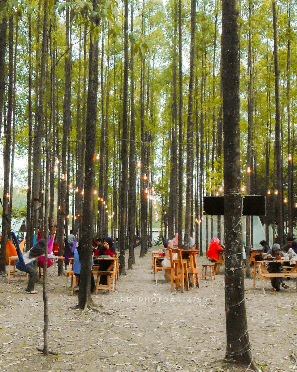 Wisata Karawang  Hutan  Kertas  Tempat Wisata Indonesia