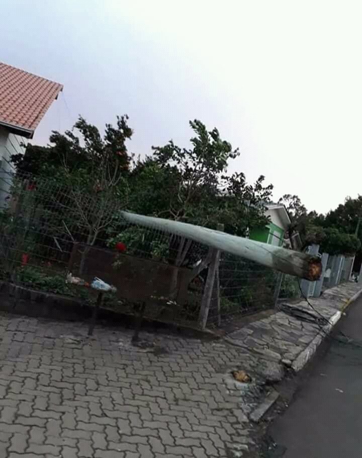 Maconherassu's tweet photo. Olha o tamanho desse beck... Não pera. https://t.co/BiolDBU37C