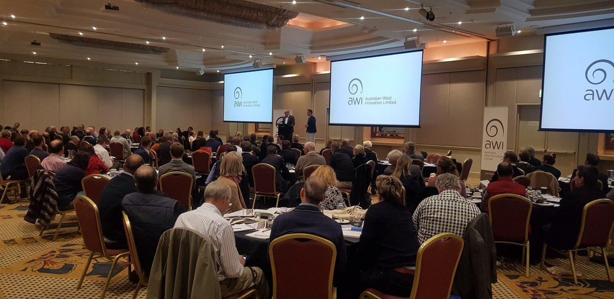 Sheep_n_Dust's tweet photo. Over 130 people gather together to talk sheep bottoms and flies...but in all seriousness the future looks strong in keeping these two apart! #awiflyupdate #AintNoFliesOnUs #buzzoff @woolinnovation https://t.co/kfcHk8HQkQ
