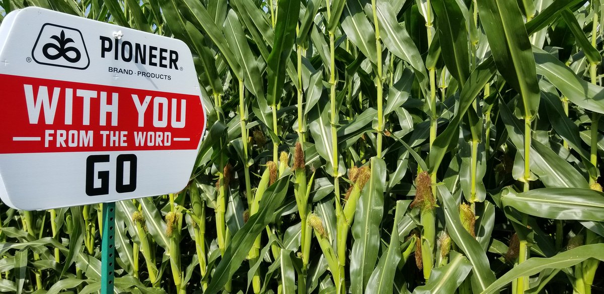pioneerproud95's tweet photo. #P0574AMXT #PIONEERSTRONG 🇺🇸💪🌽🇺🇸 https://t.co/YJ75svDG7r