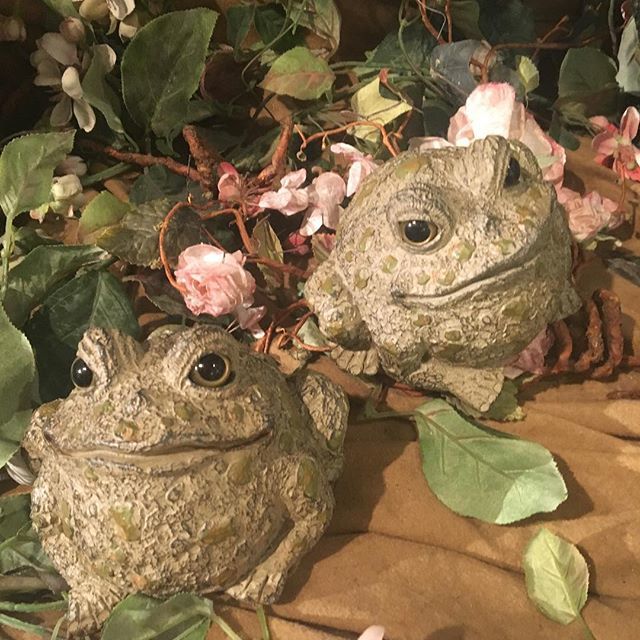 MINIRAMBLE's tweet photo. OMG!! #adorable #frogs 🐸. I ❤️ walking around the shops at #frankenmuth anytime but especially after eating my face off at the Bavarian Inn 😋👍 These little cuties were just sitting there asking to be photographed. #shopping #froglove #gardendecor… https://t.co/8Qpx8qKLD1 https://t.co/Q9VZHDCE6L