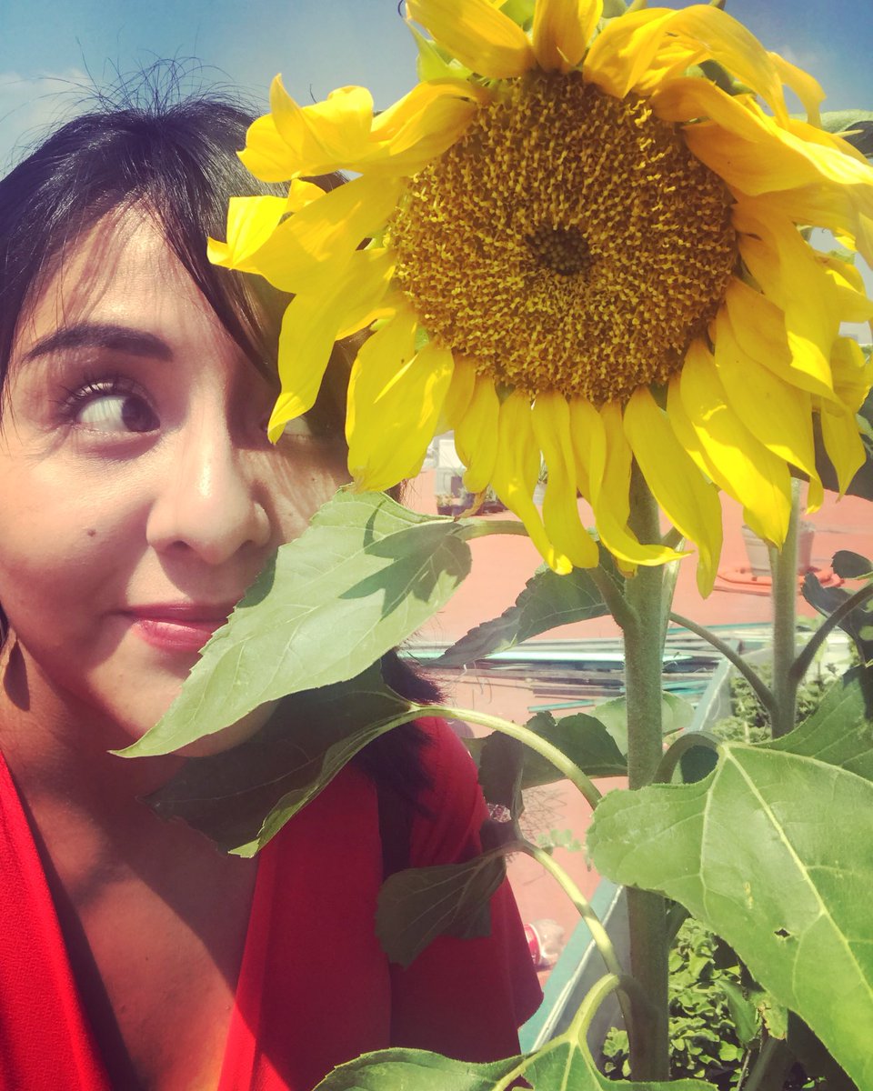 Oyeaguita's tweet image. Muchas gracias al @InjuveCDMX  por la oportunidad que nos dio de realizar una conferencia de cambio climático modelo #ClimateRealityProject con las y los jóvenes de la ciudad 💕🌻 es muy gratificante e inspirador conocer a jóvenes que como yo sueñan con una ciudad sustentable.