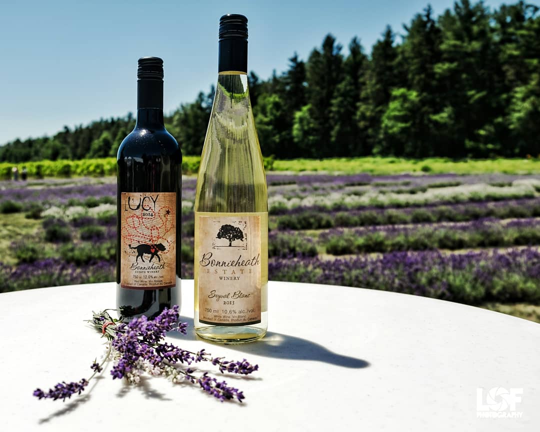 LOFphotography's tweet photo. Looking to try something different this summer? Discover and experience Ontario's best-kept secret with Buzz Tour Co.
Private tours offer an exclusive full day wine, cider or beer tour and public tours allow you to book by the seat and join others.
@BuzzTourCo
#CatchtheBuzz https://t.co/1DarvBaJel