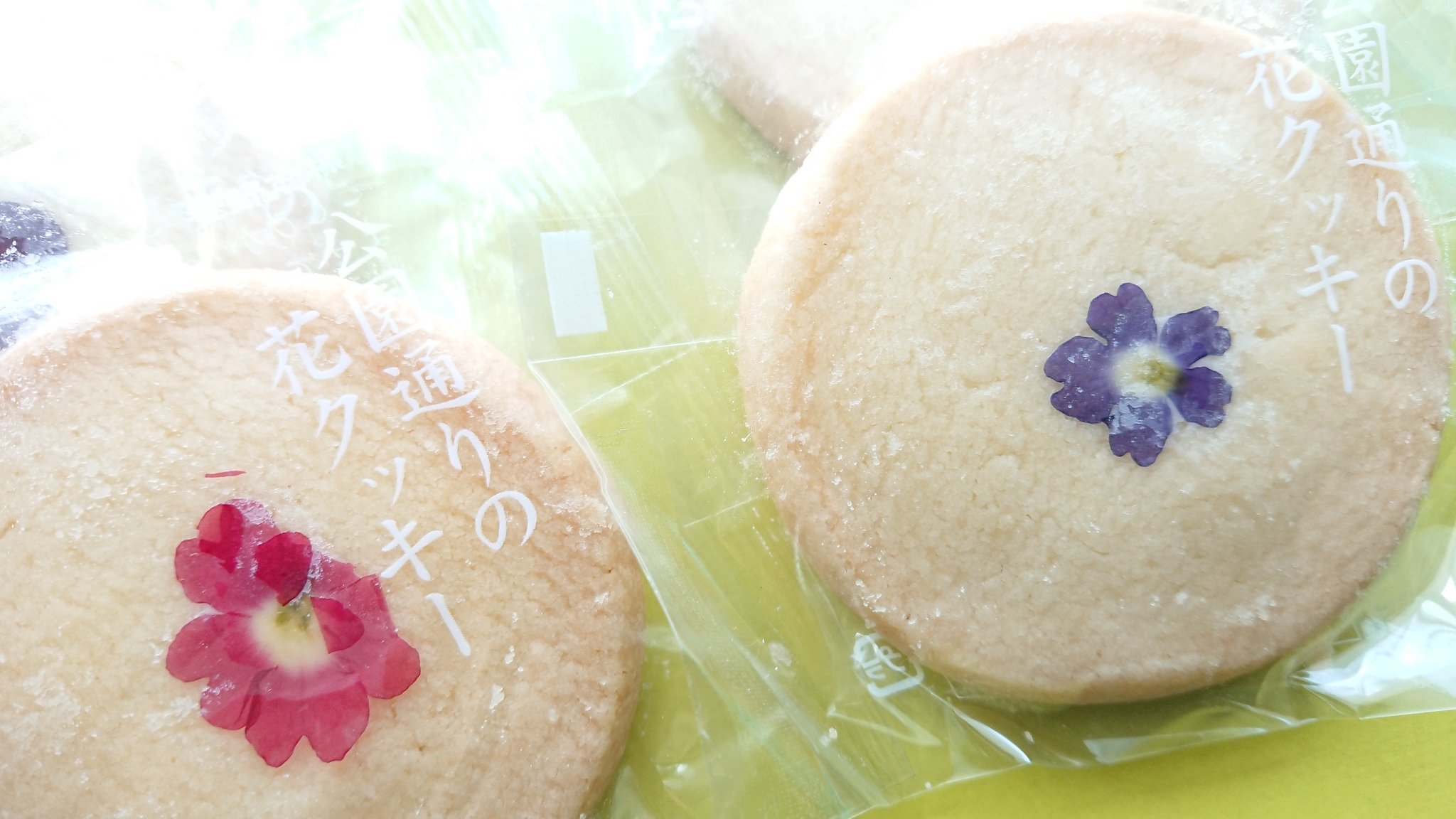 Masa フォロワー桜華癒ちゃんからのお土産 新潟 高田公園の菓心亭かまだ 公園通りの花クッキー 卵アレルギーの方でも食べれるそうで なんと言ってもこの一輪の花 これ食用の押し花 エディブルフラワーというものらしくて珍しいのでご紹介 お土産
