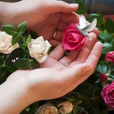 Jeeejee17's tweet photo. السلام عليكم ورحمة الله وبركاته.. عدت إليكم والشوق يحدوني للإلتقاء بأحبةٍ جمعتني بهم المحبة في الله، مُعتذره عن انقطاعي ..شاكره لكل من سأل ولكل من فقد وتفقد! https://t.co/RkwEdHV9eu
