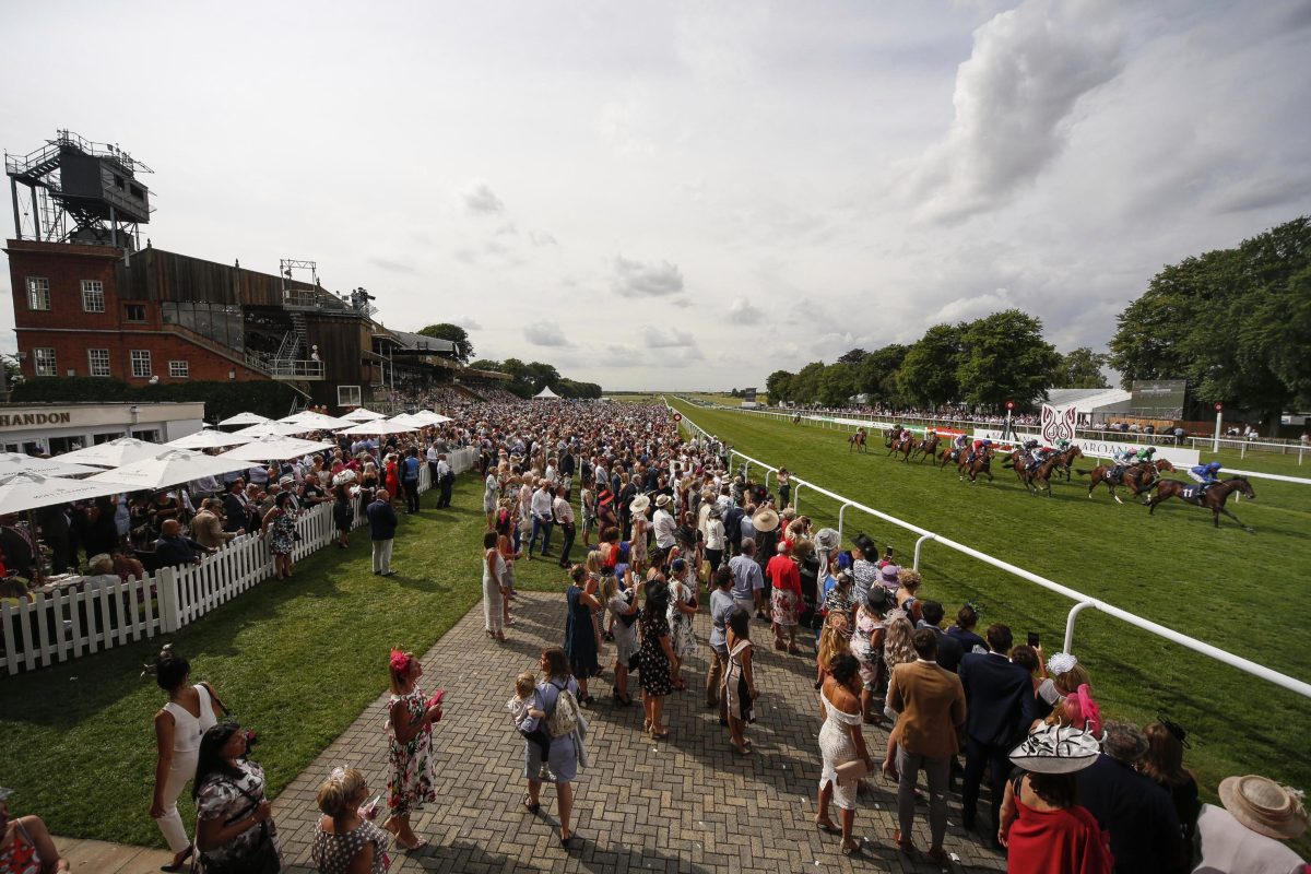 We have a limited number of tickets left for the <a href="/NewmarketRace/">Newmarket Racecourse</a> trip this Saturday...
Tickets are £18.50, this includes coach travel too and from the event, free picnic before entrance as well as your entry ticket also. #Newmarket #Races