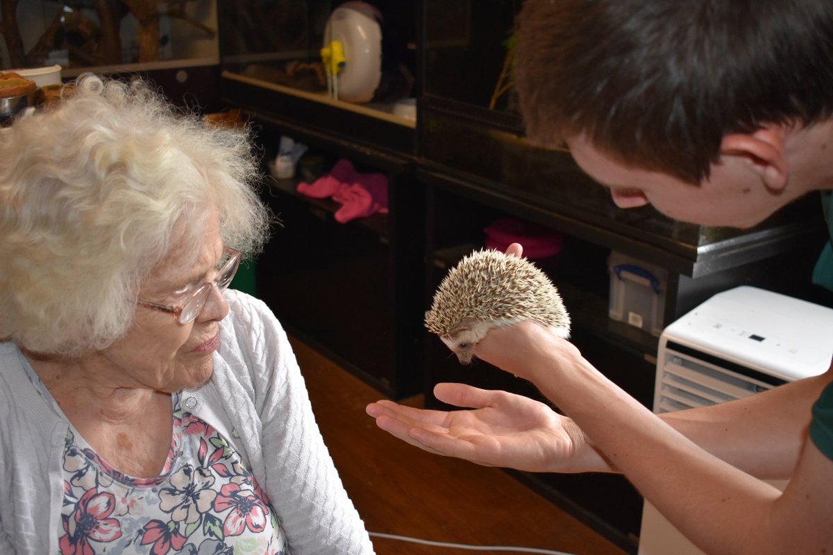 SilverWishesQC's tweet photo. Local Councillor Francis Button made a resident’s dream come true when she stepped up to help staff at The Fairway grant 82 year old Rose O’Conner’s greatest wish. As part of our Silver Wishes campaign  Rose spent the day with the animals at the zoo. https://t.co/PB9rOZWFPI