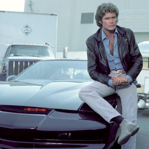 Happy 66th birthday, David Hasselhoff! 