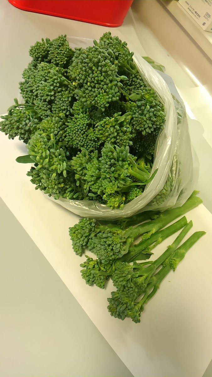 フヂヤ薬局 A Twitter 患者さんからまたお野菜頂きました スティック型の茎も食べられるブロッコリーだそうです 美味しそう 笑 早速今晩のおかずに もいわ調剤薬局ホソカイ 野菜 ブロッコリー 茎 おかず フヂヤ薬局
