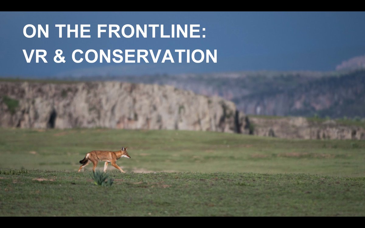 BiomeProds's tweet image. Excited to be doing a talk today about #VR &amp;amp; #Conservation, alongside @Surround_Vision and @EMILYJSAVAGE. Few tickets left -&amp;gt;   eventbrite.co.uk/e/bvrl-afterno…