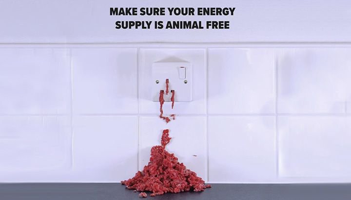 acre's tweet image. #Ecotricity launches ‘world’s first #vegan electricity’ tariff bit.ly/2L0yYJh