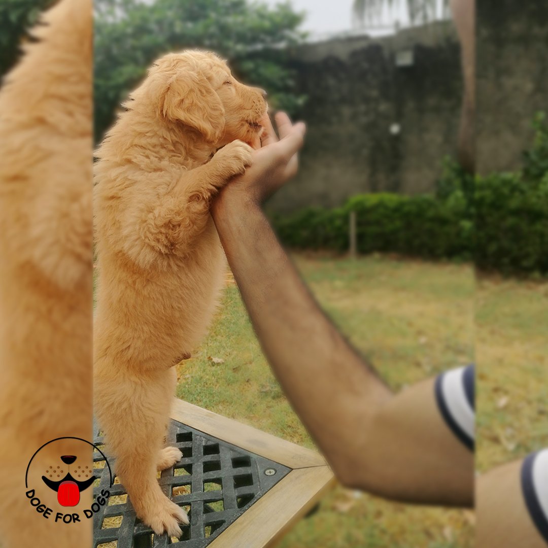 the_jerry's tweet photo. On My Toes!
.
.
.
#money #today #market #dogefordogs #blockhedge2018bahrain #blockhedge2018bangkok #blockchain #blockhedge #cryptocommunity #bitcoin #blockchainevents #cryptocurrency #cryptoevents #ethereum #BTC #cryptocurrencynews #cryptonews #bitcoinprice #currency https://t.co/yyk68592FJ