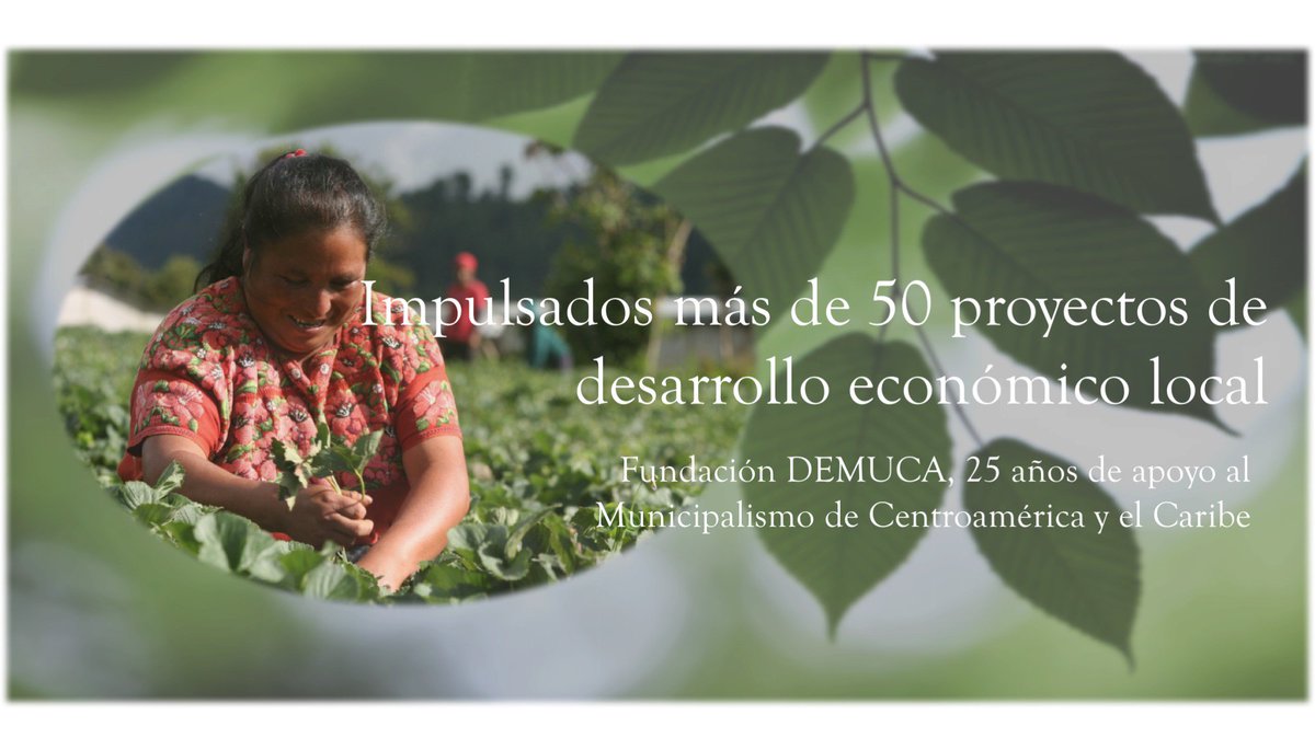 Fundación DEMUCA, más de 25 años de presencia en Centroamérica y el Caribe

youtube.com/watch?v=OhsrqA…