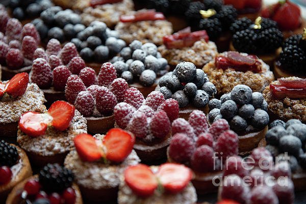 lisartop's tweet photo. New artwork for sale! - "Various Petite Fruit Tarts" - https://t.co/ESRs7MfALz @fineartamerica https://t.co/CpDO1On43y