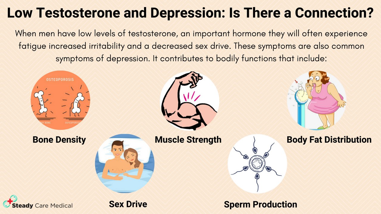 تويتر \ Steady Care Medical على تويتر: &quot;Do You Know The Relation Between Low  Testosterone And Depression? Have A Look At The Image And See The Body  Functions Which Are Affected By