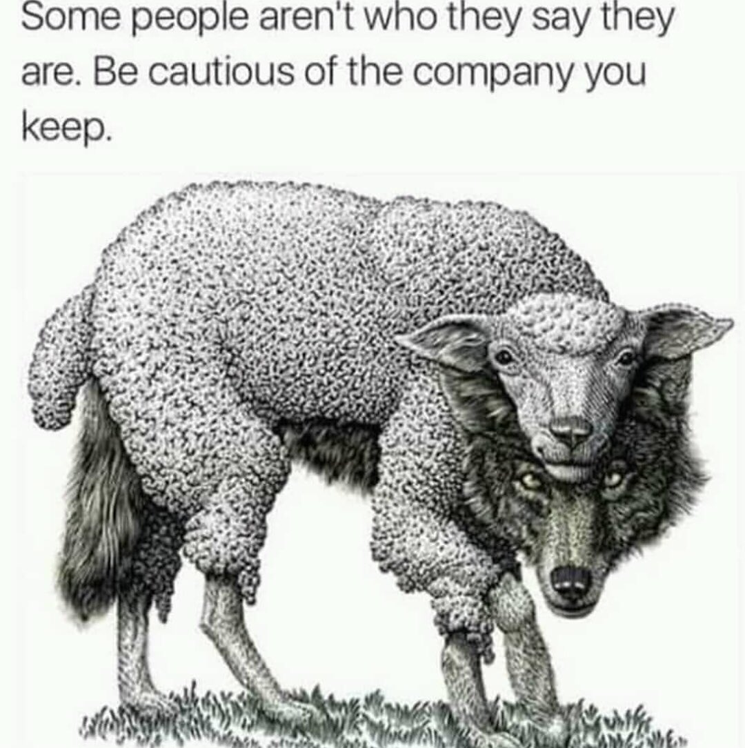 FaaizaTayob's tweet photo. #live #life #love #pray #Picoftheday #sayings #lifequotes  #islam #lovetopray #jannah #wisdom #follow #photooftheday #thoughtoftheday #sayingoftheday #inspiration #inspire #motivate #quotes #positiveattitude #positivethoughts #motivation #quotestoliveby #happiness #blessed #smile https://t.co/6zLWpubNqd