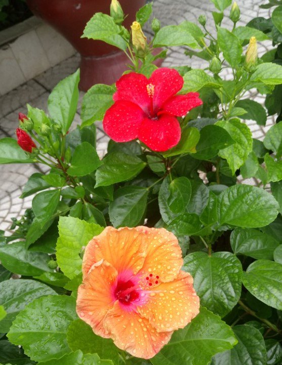 NAM_Hotel_Spa's tweet photo. Good morning 17 July, 2018 - Hotel Entrance https://t.co/1nnUnpWhnH