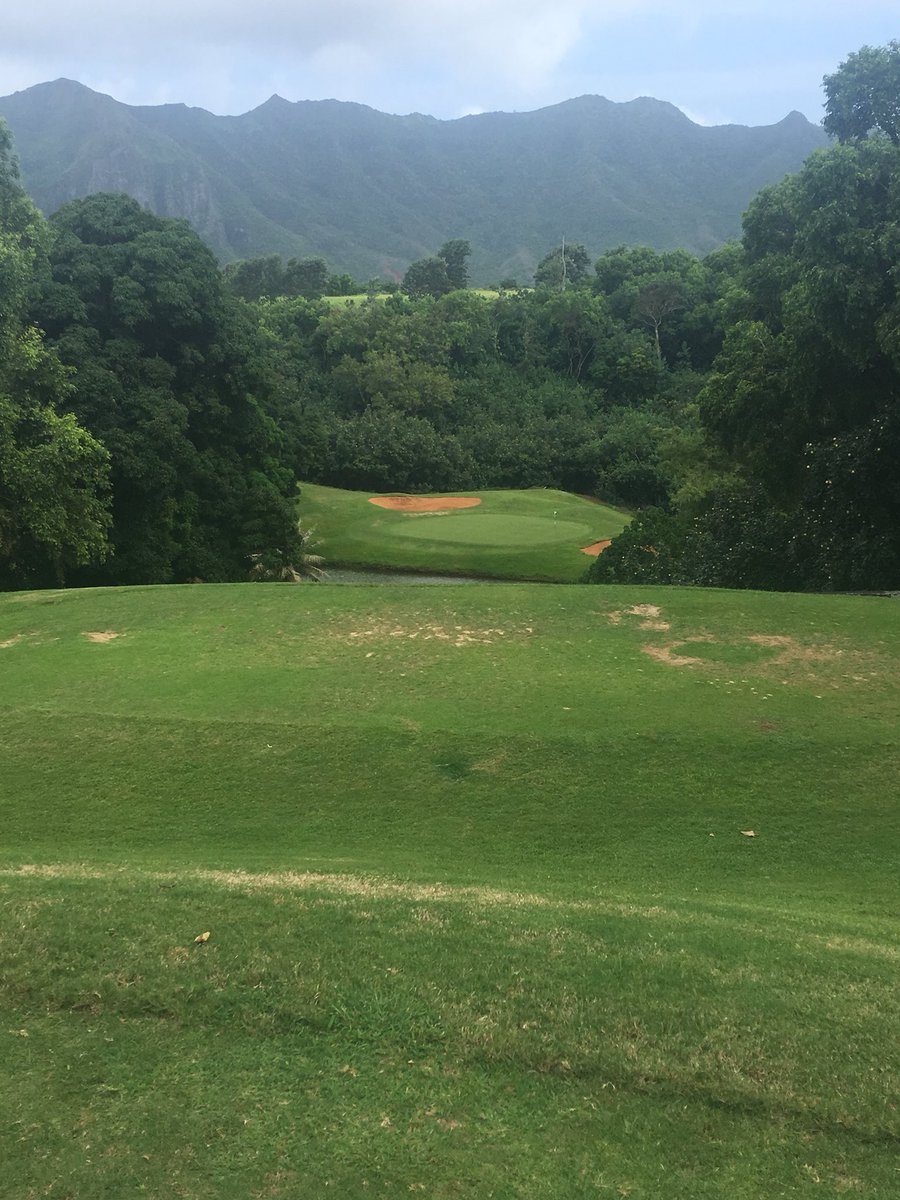Down the cliff on to an island green. Amazing track and layout at <a href="/PuakeaGolf/">Puakea Golf Course</a> in #Lihue #Hawaii #hawaiigolf 
Where to play tomorrow? 🤔