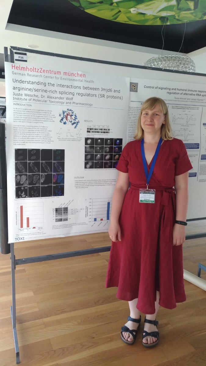 WolfLabMunich's tweet photo. Well done Juste! Short talk yesterday. Now come and see Justeโs poster at the #splicing2018 conference in Caparica, Portugal. #Jmjd6 #alternativesplicing @HelmholtzMucEn @RNASociety https://t.co/TWhemcIixL